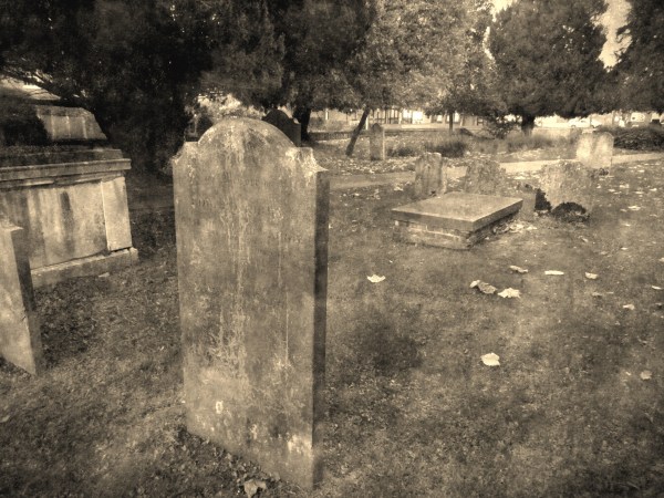 Fragility ©2013.alittlebirdtweets